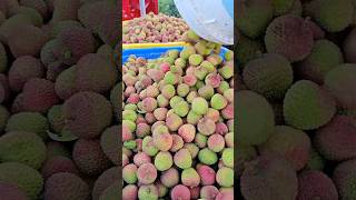 Fresh Lychees Harvest