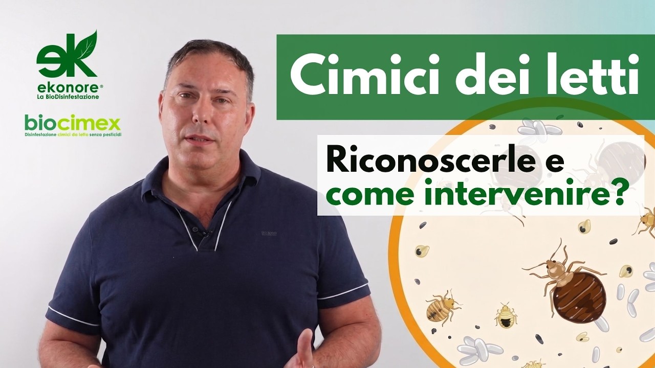 Video Biocimex: come riconoscere le cimici dei letti e come intervenire