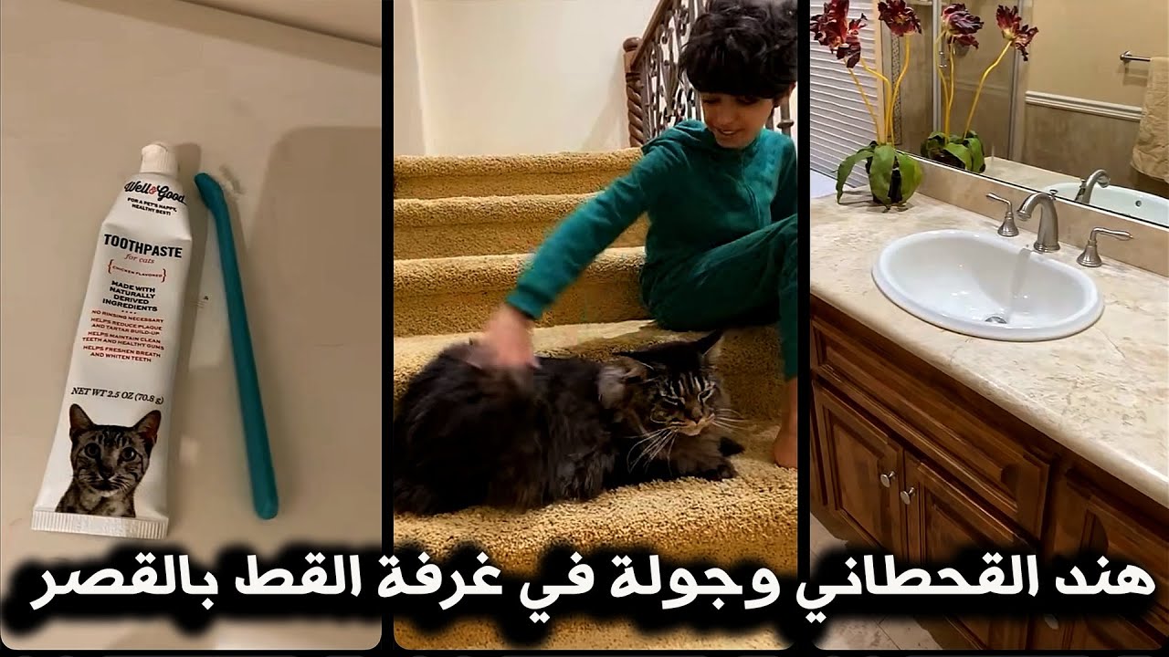هند القحطاني تستعرض غرفة قطها الفاخرة في القصر الجديد 😻😎