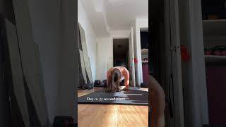 Day 11: 55 second plank!