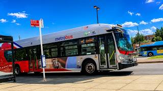 Washington DC Metrobus XDE40 #7241 on Q4 Route | Bus Spotting