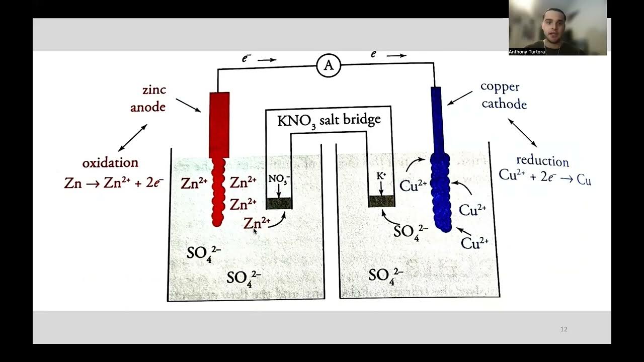 MCAT QuestionBased Review Week 5 Electrochemistry, and