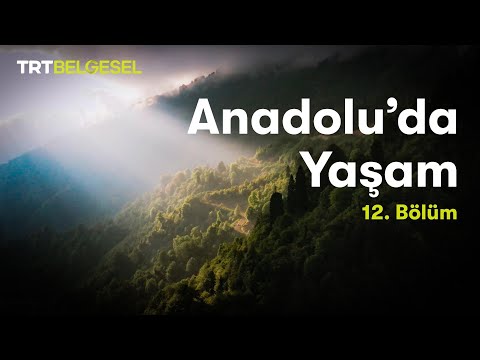 Anadolu'da Yaşam | Karadeniz Bölgesi | TRT Belgesel