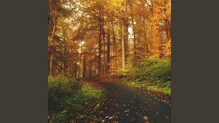 Orange Landscape screenshot 3