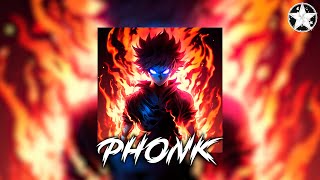 Brazilian Phonk Mix 2024 ※ Best Baile Funk ※ Tik Tok Viral Phonk Music Mix #260