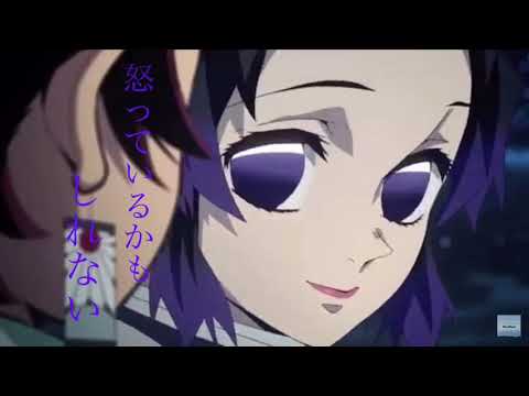 鬼滅の刃  胡蝶しのぶ  胡蝶カナエ