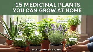 15 Medicinal Plants You Can Grow at Home