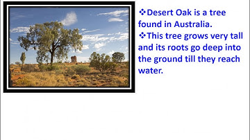 CLASS 4- EVS- Abdul in the Garden- Part 2