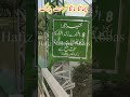 چھانگا مانگا جنگل پارک میں جھولا پل سے کتنے افراد اکھٹے گزر سکتے ہیں #jungle #foryou #forest