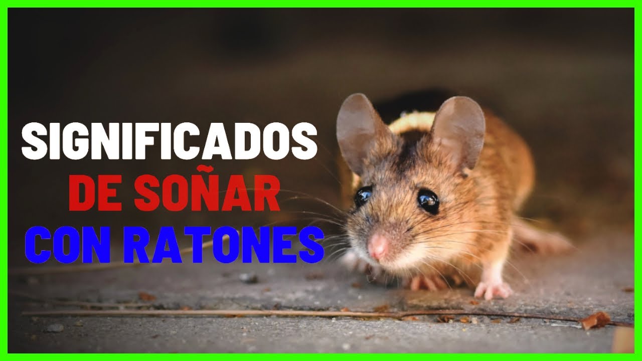 Que Significa Sonar Con Ratones