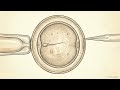 شرح العقم - الفصل الثالث من كتاب الأحياء للصف الثاني عشر (NCERT) | امتحان NEET 2026 | الجزء السادس