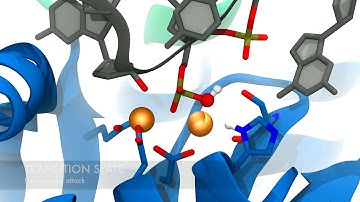 Two-metal ion mechanism in CRISPR-Cas9