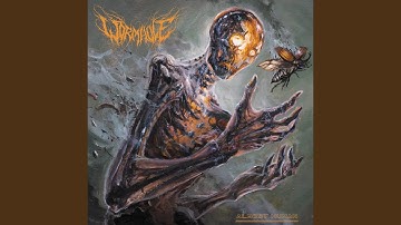 Data Fortress Orbital Stationary