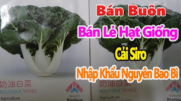 hạt giống cải siro trắng nhập khẩu nguyên bao bì, bán buôn bán lẻ hạt giống toàn quốc