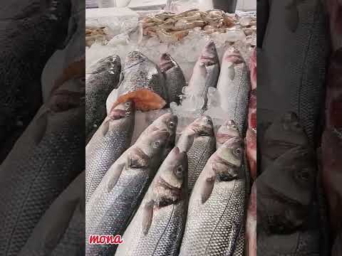 ازاي تشتري السمك