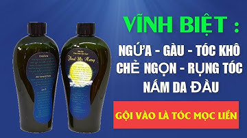 DÙNG DẦU GỘI NÀY BẢO ĐẢM HẾT GÀU HẾT NGỨA - TÓC CHẮC KHỎE VÀ ĐẸP