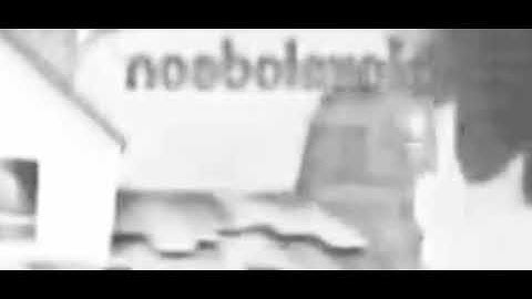 Zack and Quack Intro (Polish)