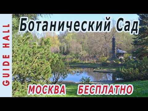 Ботанический Сад РАН - бесплатный отдых в Москве.