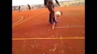 Altensteiger Freestyler