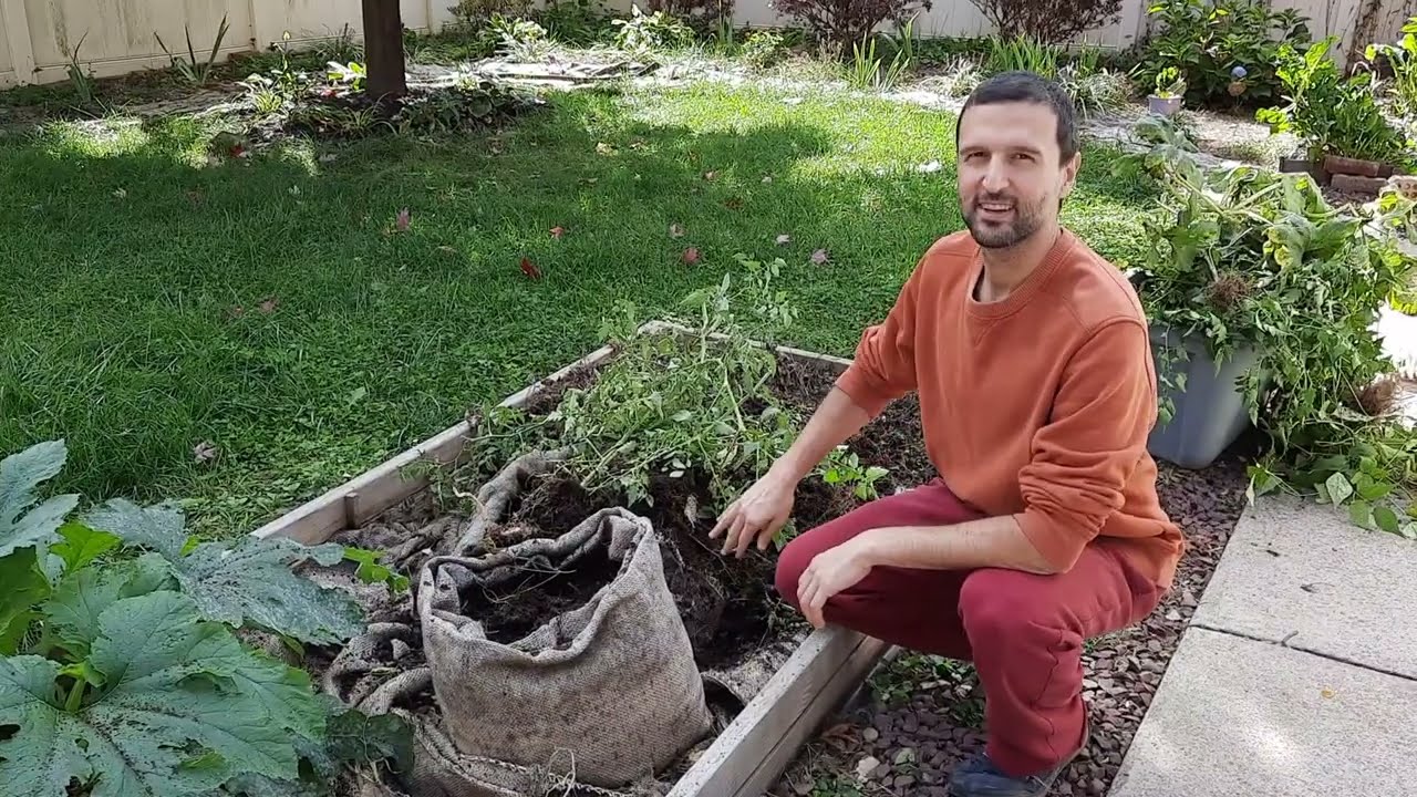 Burlap planters, end-of-season update