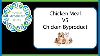 Chicken MEAL vs Chicken BYPRODUCT | What is the difference? | 5Strands FAQ
