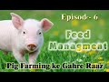 Pig Farming ke Gahre Raaz | Ep 06: Feed Management | Swastik Pig Farm 🐖