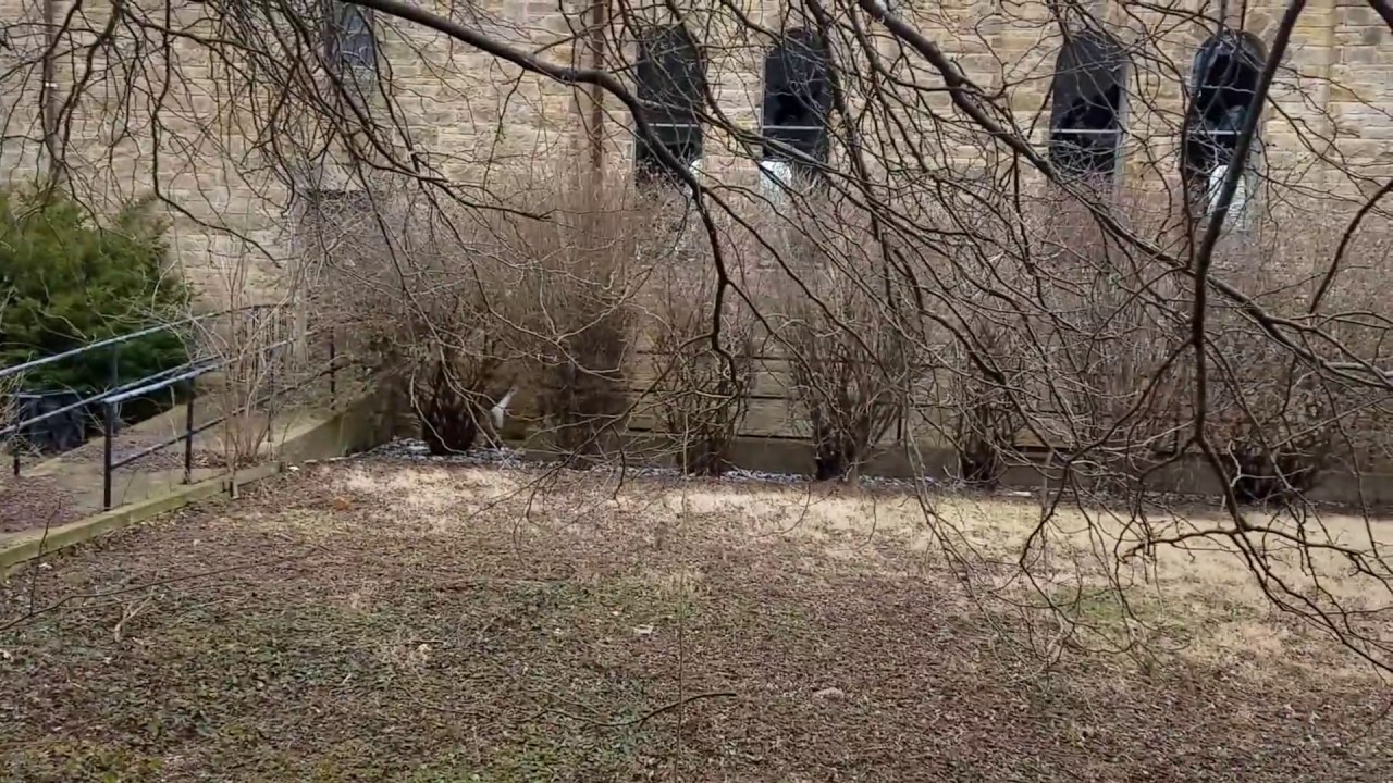 Abandoned Exploration Saint Agnes Catholic Church in Dayton, Ohio (The School) Video 2 YouTube