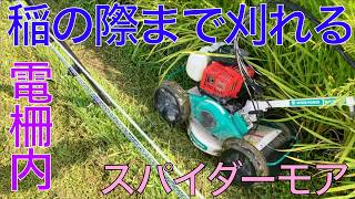 [2026 Rice Farming 41] Managing until harvest: I mowed 2 laps inside the electric fence with the ... ２０２６ 米作り４４ 稲刈り令和８年２日目 やっちゃん三兄弟で籾摺り 稲刈りだぞ