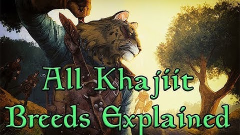 TES Lore: The 16 Breeds of Khajiit Explained!