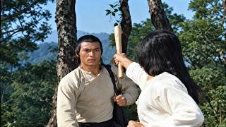 Deadly Fists of Revenge || Best Chinese Action kung fu Movie in English