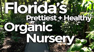 This Might be The Prettiest And Healthiest, ORGANIC Nursery in Florida!
