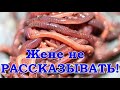 Разведение КРАСНЫХ/навозных червей для рыбалки. Как вырастить/хранить в домашних условиях/квартире.