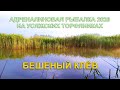 Мы были в ШОКЕ от такой рыбалки | Рыбалка в Беларуси | Fishing in Belarus