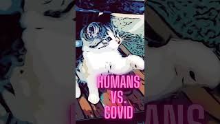 Humor Humans Vs. Covid. Funny Cats