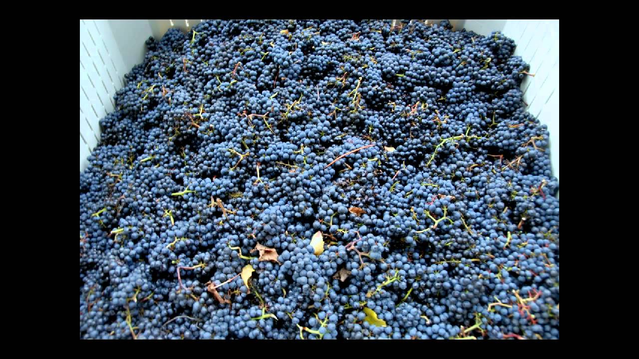 A Vinnigna-Sicilian Folk Song.avi