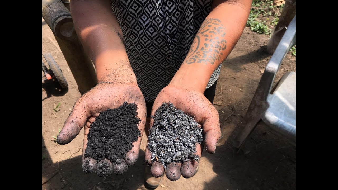 (Suelo Vivo) Beneficios del Biocarbón / Biochar