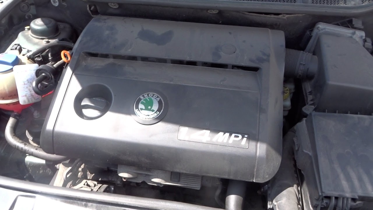 P0441 skoda fabia
