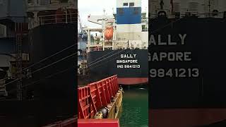 Download Lagu loading diport of Teluk bayur#viral #viralvidio #vidioshort#tagbot #crane#tongkang #material #truck MP3