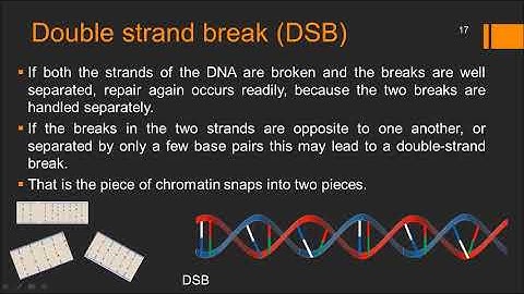 Radiobiology Basics Lecture 1