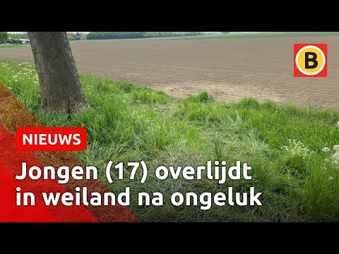 Zeventienjarige jongen komt om bij verkeersongeval