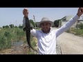 Рыбалка в Таджикистане ловля змееголова//Мормахи//
