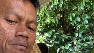 Download Lagu Penghasilan di tiktok MP3