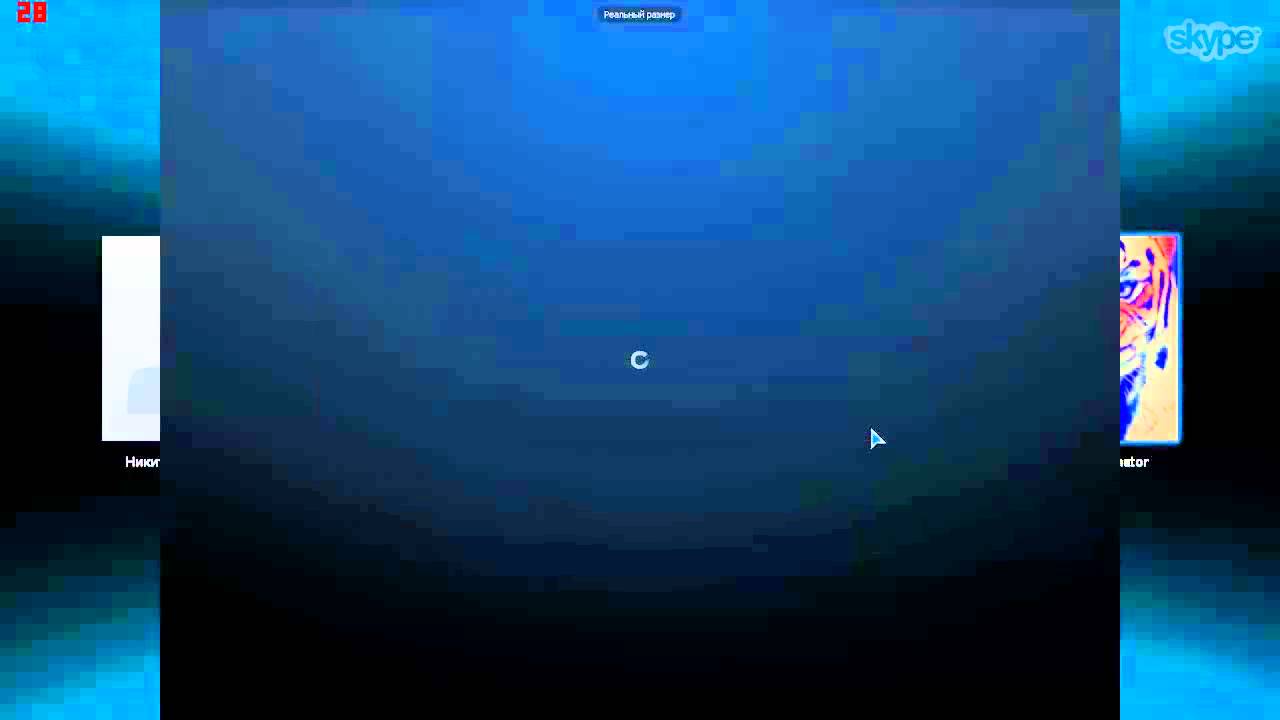 BonD vs. Никита)