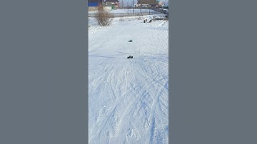 Зверюги #mmax #rapidly