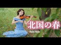 北国の春 - 千昌夫  バイオリン(Violin Cover by Momo) 北國之春/我和你 鄧麗君 歌詞付き