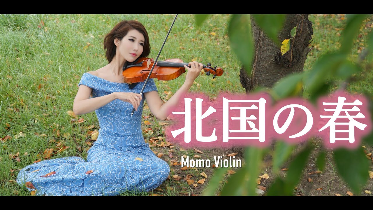北国の春 - 千昌夫 バイオリン(Violin Cover by Momo) 北國之春