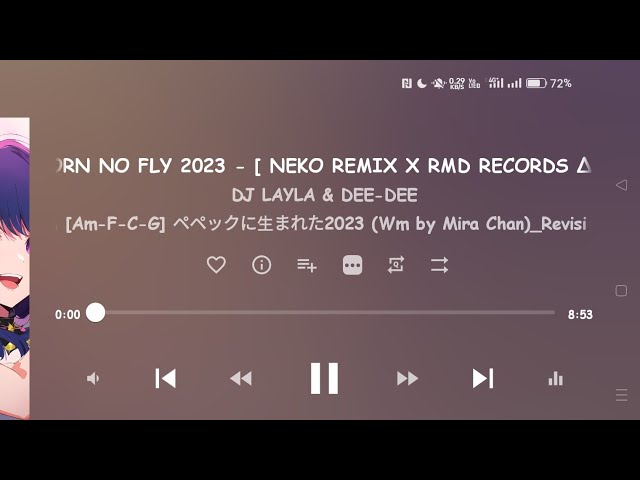 BORN NO FLY 2023 - [ NEKO REMIX X RMD RECORDS ∆ ] #No Vocal BaonCikadap #OSG Rynthm #Bass A4 class=