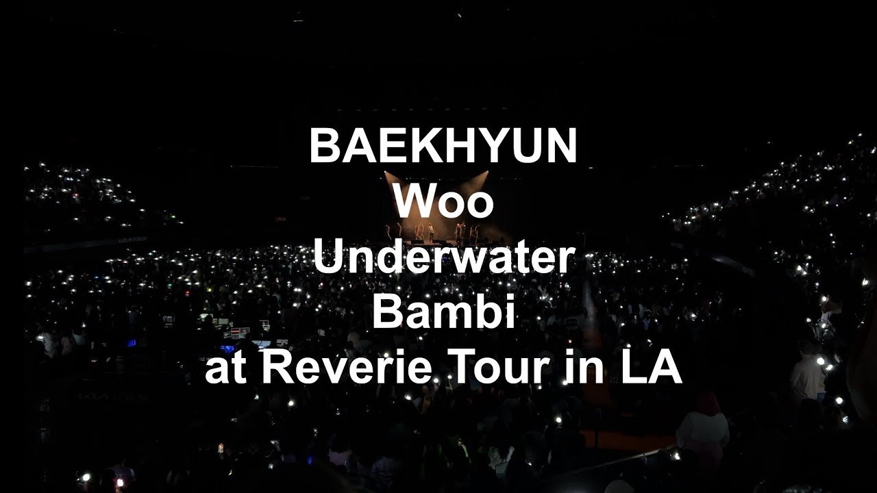 250706 BAEKHYUN - Woo + Underwater + Bambi | 2025 BAEKHYUN WORLD TOUR [Reverie] in LA