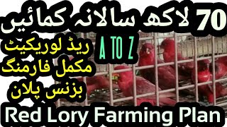 Red Lory Farming & Breeding Business Plan Feasibility in Hindi. Lorikeet Breeding Tips Setup Formula