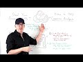 Intro to SEO Competitive Analysis - Whiteboard Friday